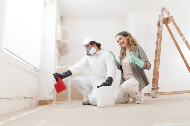Best Attic Mold Removal  in Dundee, OR